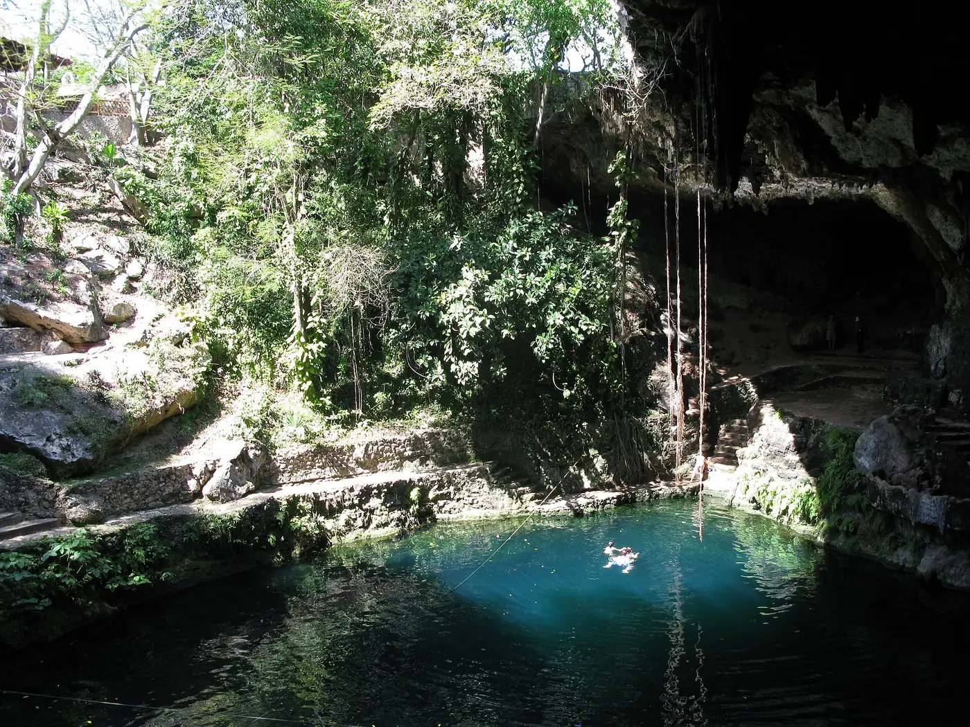 Cenote de agua turquesa rodeado de vegetación en Yucatán