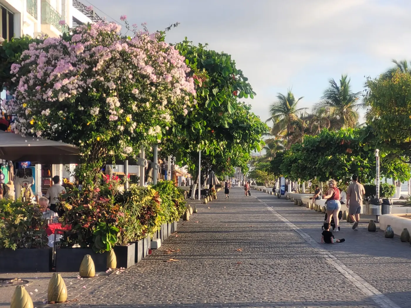 Malecón de Puerto Vallarta con bugambilias en flor